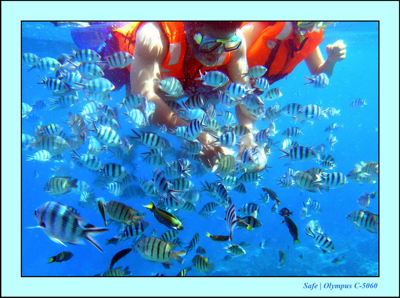 2005 - 08 - Perhentian  - 025.JPG